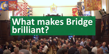 Why Play Bridge?
