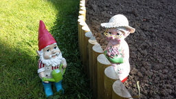 The Gnomes
