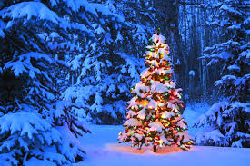 Christmas Cheer