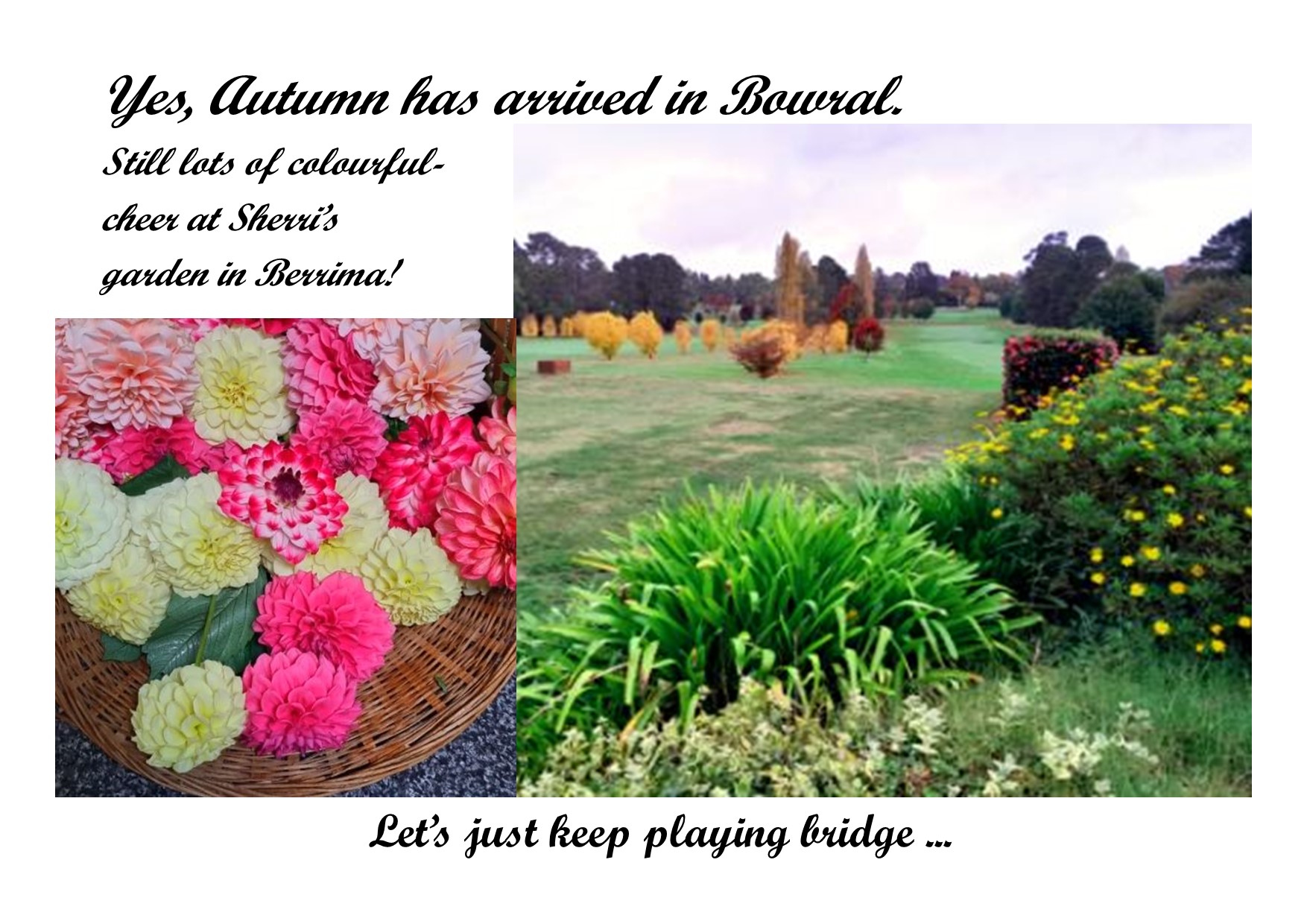 Autumn in Bowral April 2025