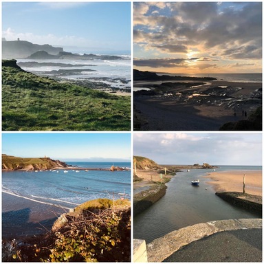 Welcome to Bude Bridge Club