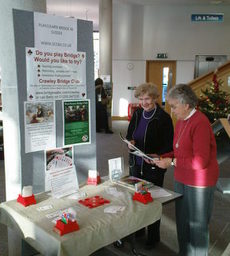Display in Crawley Library - December 2012