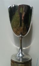 Boxwell Cup