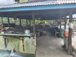 Reaching far and wide