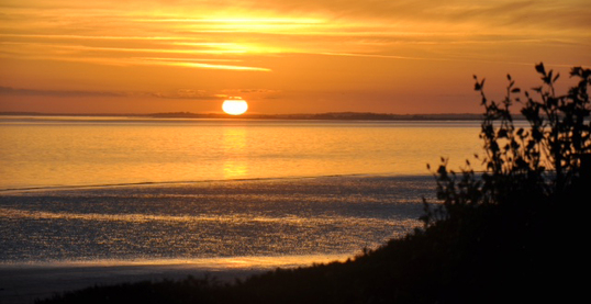GOLDEN ISLES BRIDGE CENTER