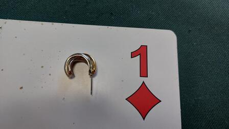 Earring found
