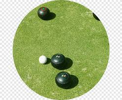 Bowls and Bridge