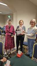 Balbriggan  / Skerries 2026