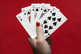 Beginners Bridge Lessons